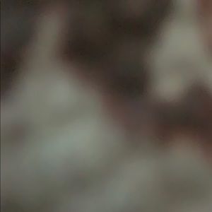 Meet your Posher, Savannah